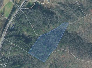 11158 Boardtown Rd, Cherry Log, GA 30522