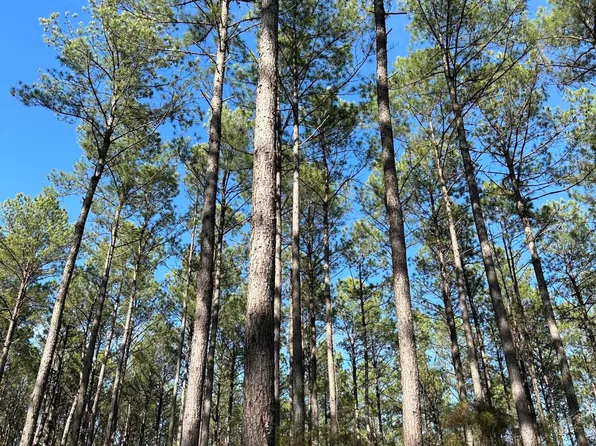 0 Highway 13/percy Bates Rd, Oak Vale, MS 39656