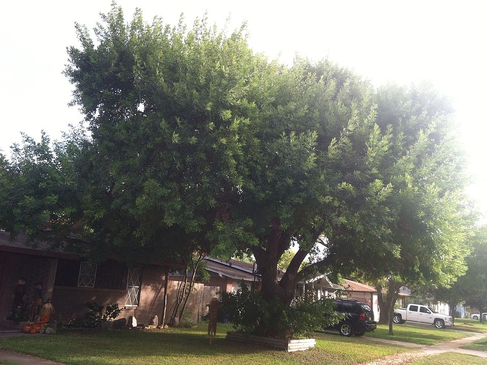 1st image of 4510 Anthony St