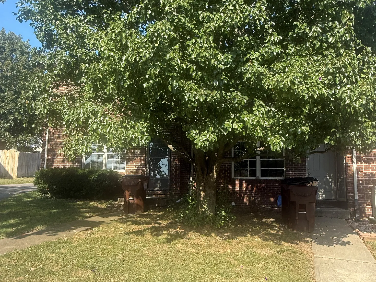 3 bed, 1296 sqft, $1,249 — Photo 1