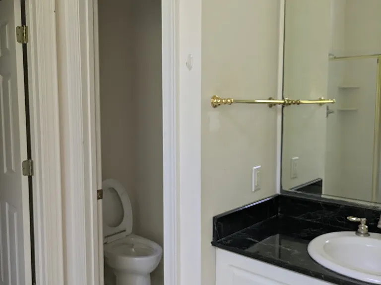 Primary Bathroom toilet. Walk-in closet to left.
