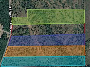 TRACT 3 Private Road 8385, Spurger, TX 77660