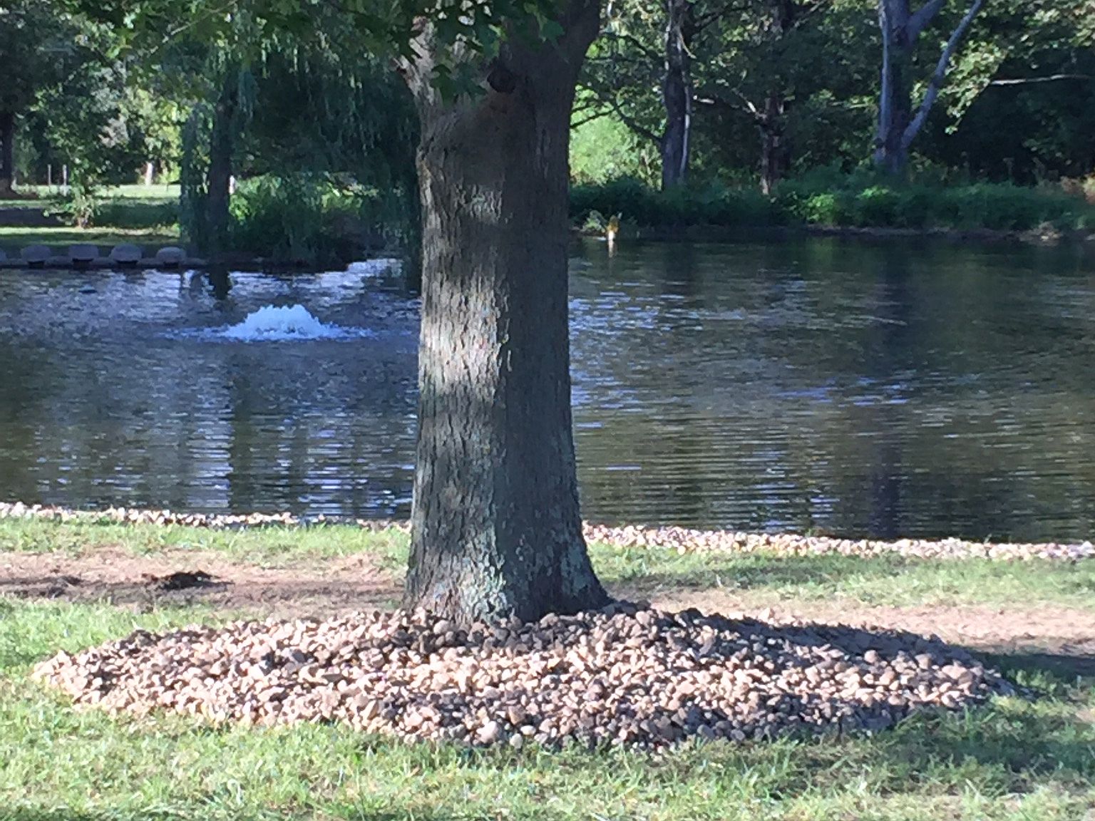 Spencer Lake Rd, Medina, OH 44256 Zillow