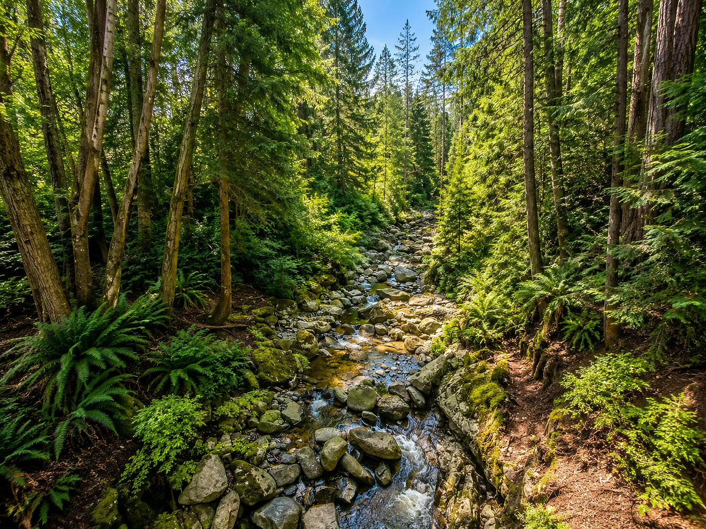6 bed, 4500 sqft, $16,000 — Photo 3
