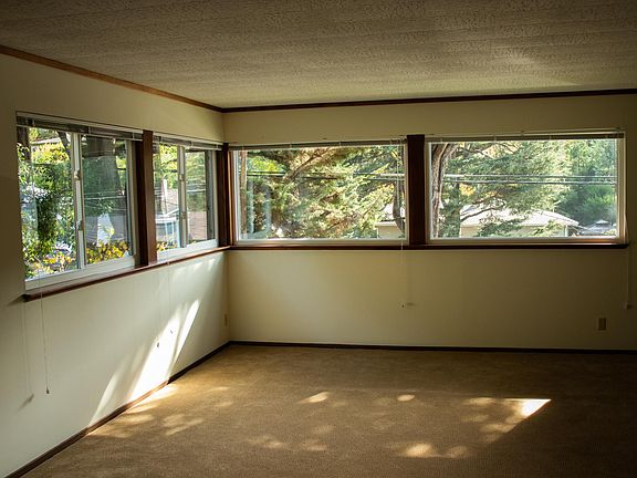 Living Room with Tree View!