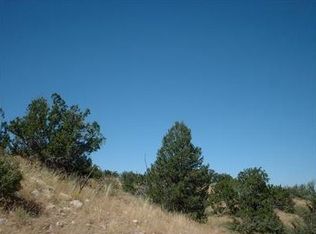 703 Black Burro Loop, Williams, AZ 86046