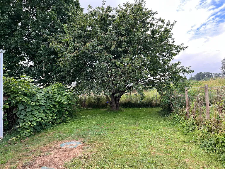 17168 Dike Rd — Photo 20