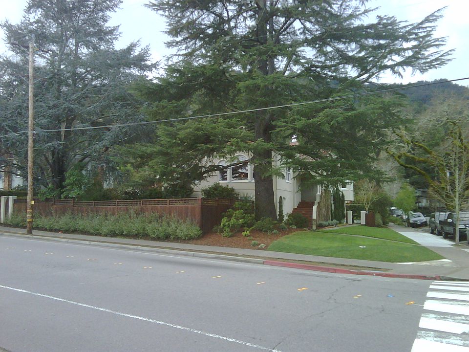 1st image of 203 W Baltimore Ave