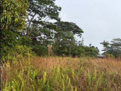 16-2069 Pearl Dr Lot 25, Pahoa, HI, 96778