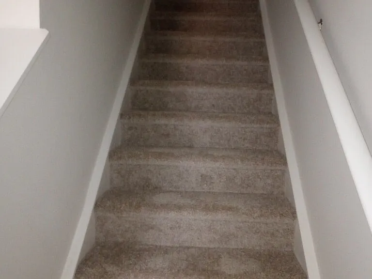 104 Filly Ln — Photo 19