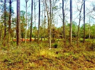 1191 Ole Long Pull Rd, Livingston, TX 77351