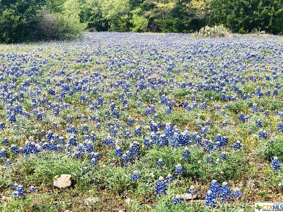 1st image of 3391 Fm 1113 Lot 13