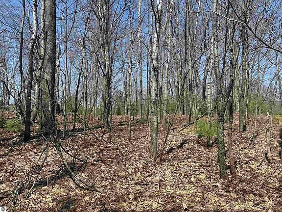 5th image of Vl Forest Dr