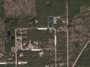 880 N Whitetail Dr LOT 12, Perry, FL 32348