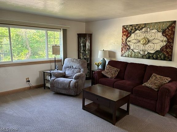 3rd image of 224 Lorraine Dr