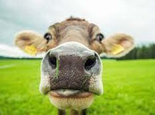 309 Covington Rd, Wilmington, NC 28409