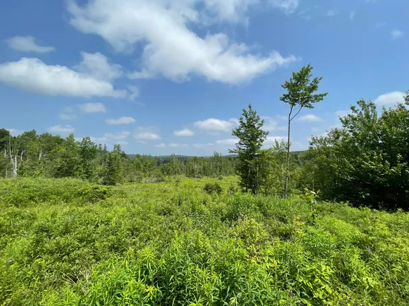 Lot #37 Betts Road, Orrington, ME 04474
