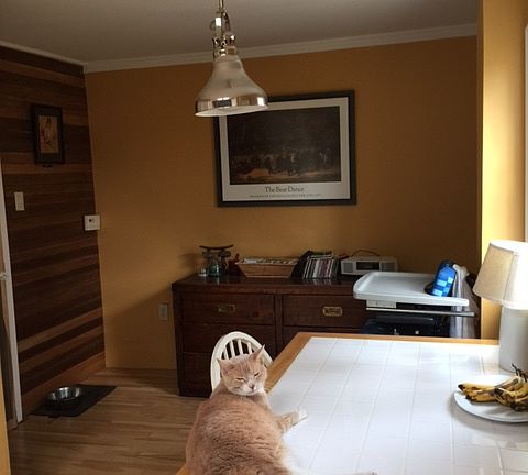 Kitchen eating area