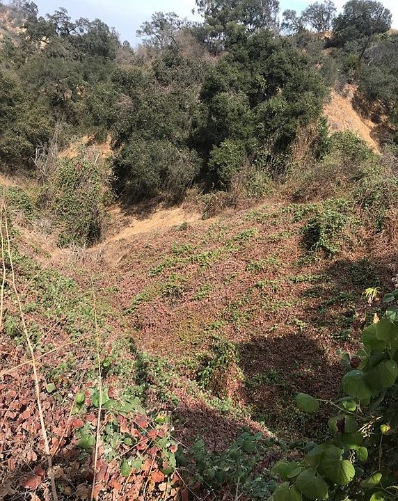2nd image of 3020 Descending Dr