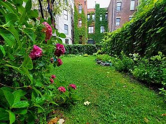 Rented by Oxford Property Group