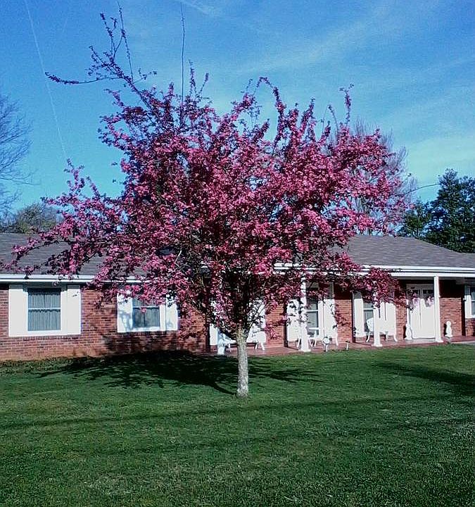 House  Front