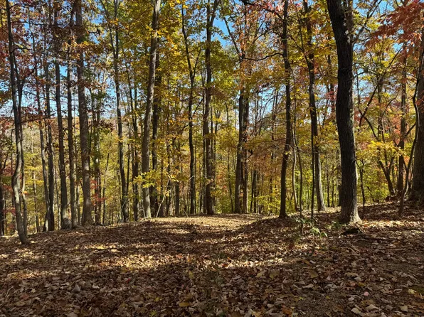 LOT 2 Snidow Dr, Goodview, VA 24095