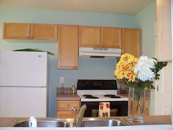 Kitchen Window