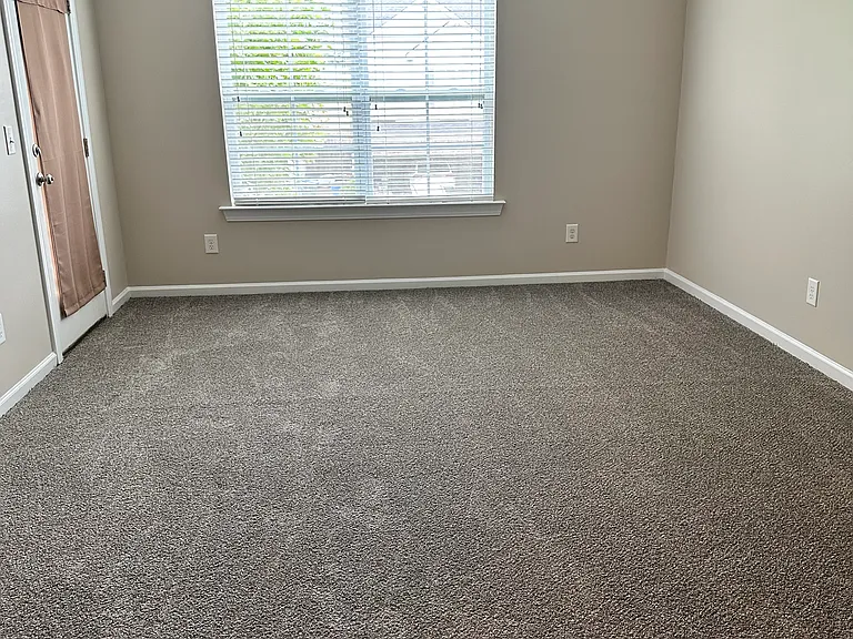 156 Top Forest Dr — Photo 10