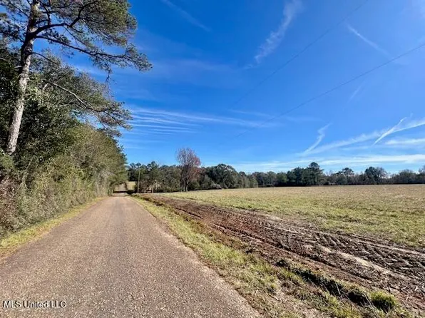 Ginn Rd, Tylertown, MS 39667