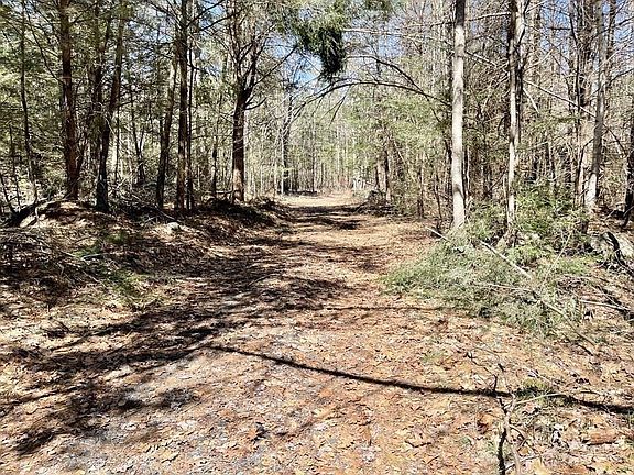 5th image of 115 Colony Rd