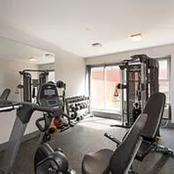 Rented by Bold New York