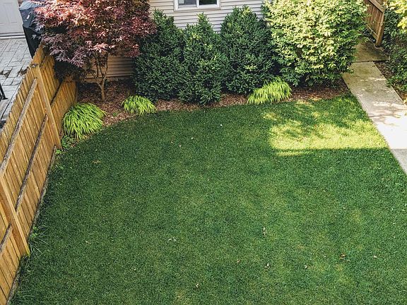 Back Yard and Garage