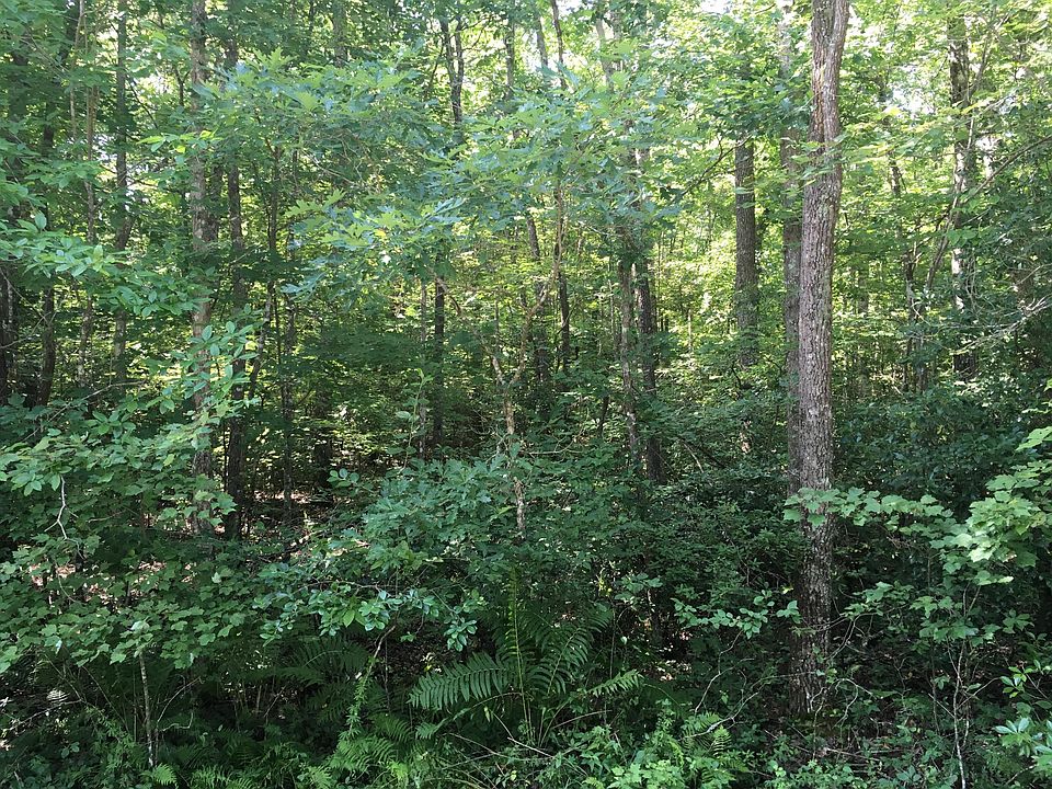 2nd image of Leistner Dr #2