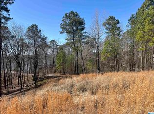 Shoreside Ln #133, Sylacauga, AL 35151