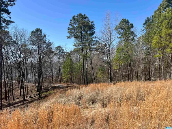 Shoreside Ln #133, Sylacauga, AL 35151