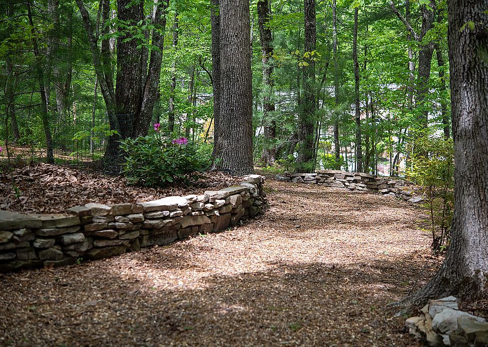 Creating a woodland park