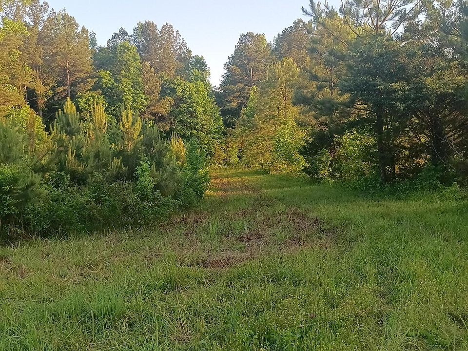 2nd image of LOT 5 Reagan Rd SE