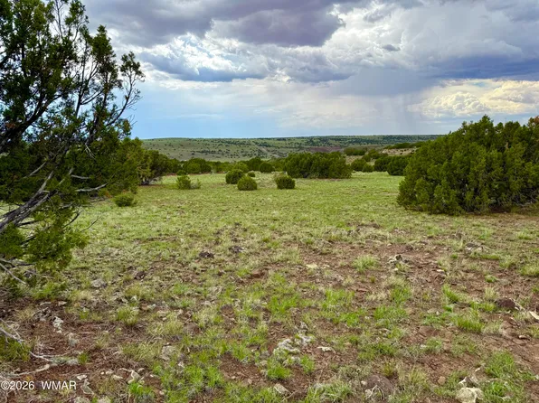 127 County Road 8051 Rd, Concho, AZ 85924