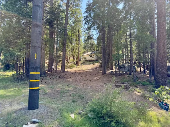 41255 Timber Dr, Shaver Lake, CA 93664
