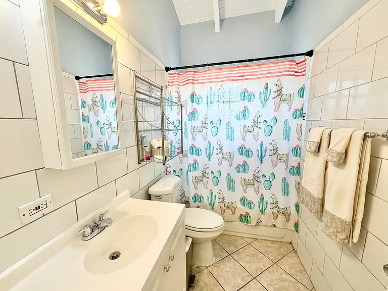 111 Union & Mount Wash Bay — Photo 13