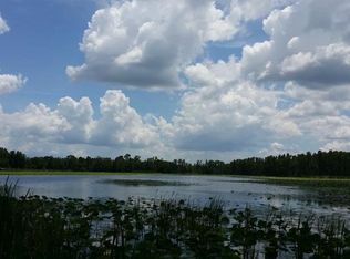 4765 School Rd, Land O Lakes, FL 34638