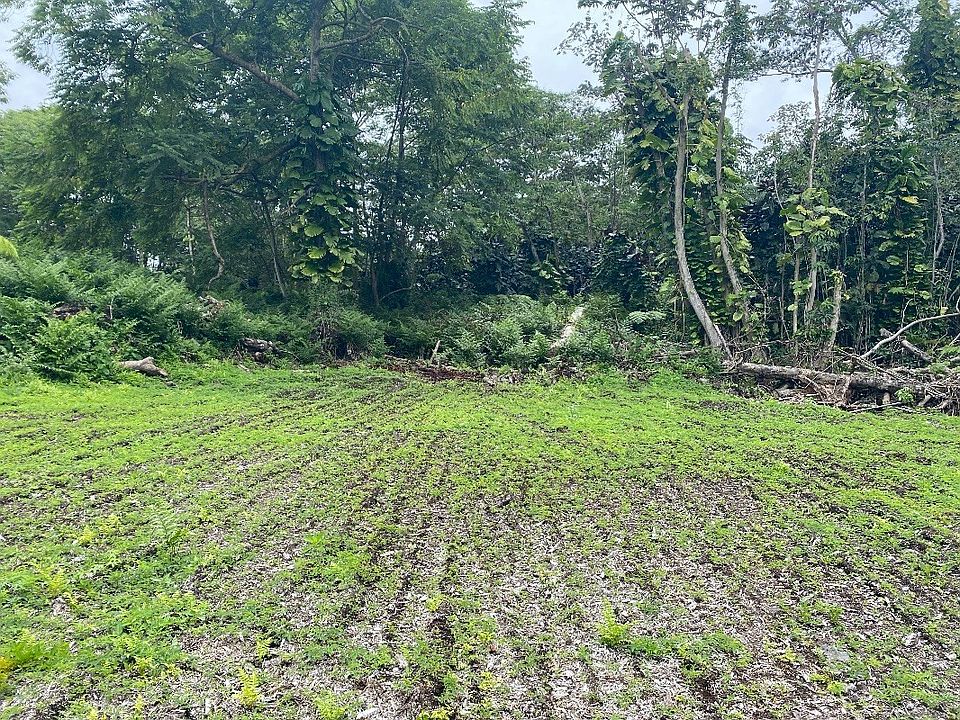 1st image of Pomaikai St Lot 54
