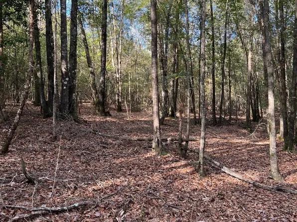 0 County Road 79, Billingsley, AL 36006