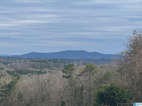 2nd image of 3953 Logan Martin Dam Rd