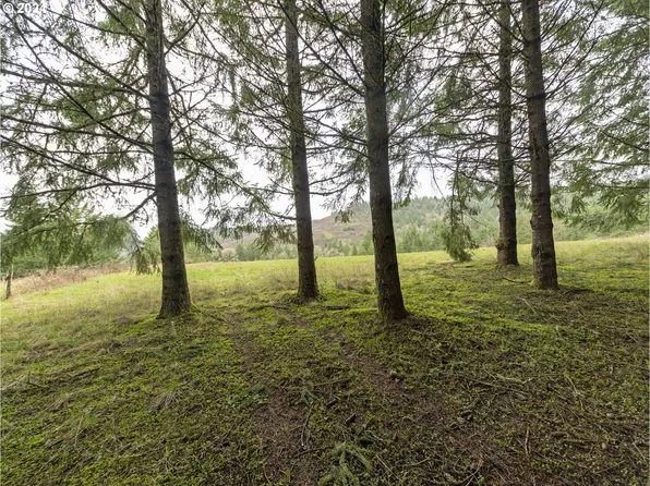 NE Cunningham Ln, Gaston, OR 97119