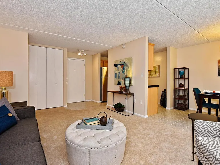 1267 N Lafayette St #204 — Photo 6