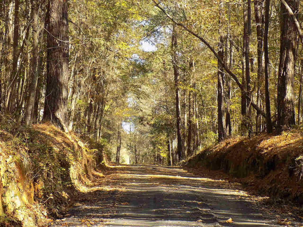 146 Watermelon Hill Rd, Eastover, SC 29044 | Zillow