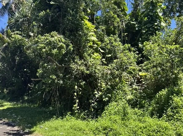 Opelu St Lot 1659, Pahoa, HI 96778