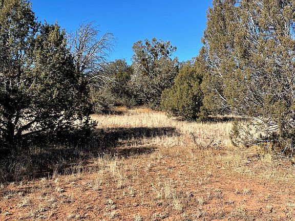 3rd image of 55499 N Brisa Ln
