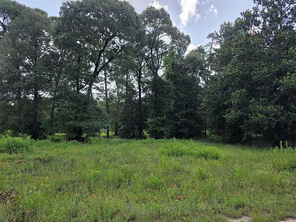 1st image of 1038 County Road 173